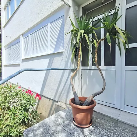 Sunlight Luxury Apartment *