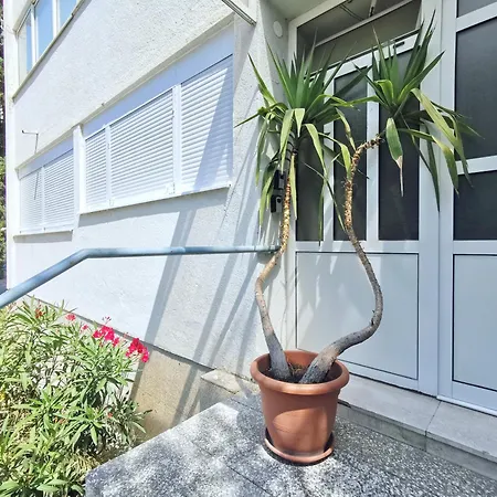 Sunlight Luxury شقة *